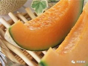 吃哈密瓜吃醉了,一次意外的“醉”美体验