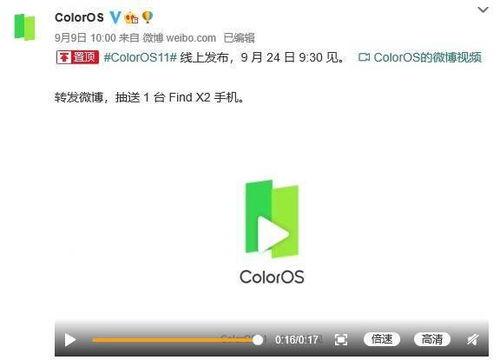 提前爆料的视频,提前曝光视频背后的精彩瞬间