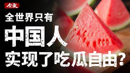 今年实现吃瓜自由,全民吃瓜自由，共享欢乐时光