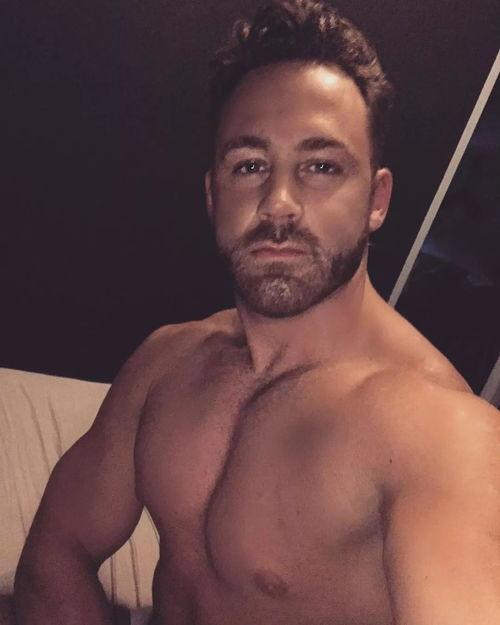 gv明星,闪耀舞台的璀璨星辰