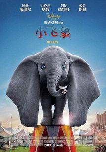 小飞象在头条,翱翔梦想的天空，勇闯奇幻冒险之旅