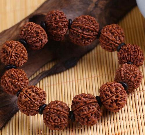 今日头条菩提种植方法,从选种到养护，一网打尽种植技巧