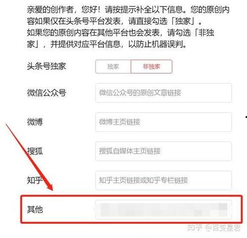 头条原创从哪里审核,揭秘原创内容审核机制，助力优质内容创作