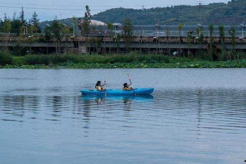 南海小渔村事件吃瓜,揭秘背后真相与争议