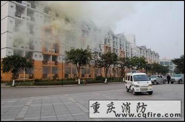 深圳沙坪坝新村新闻头条,打造宜居新典范