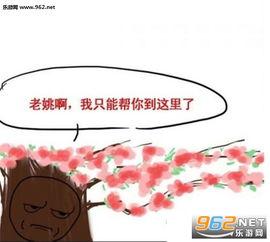 卓伟要爆料了吗视频全集,揭秘视频全集精彩瞬间