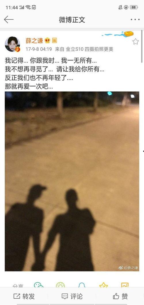 介绍明星的文案,揭秘明星背后的故事与魅力