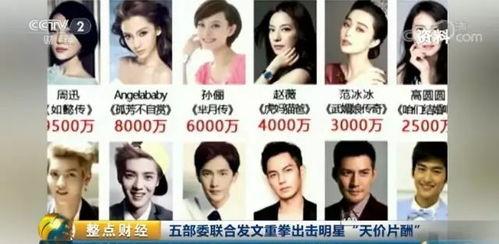 央视报道明星片酬,央视报道揭示行业现状与趋势