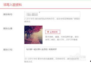 怎样参加头条写作训练