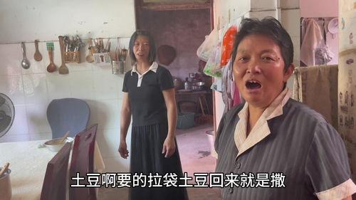 头条乡村大姐视频收入,短视频时代下的致富新路径