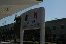 今日头条秦岭火车站,穿越秦岭的铁路枢纽，见证历史变迁的见证者