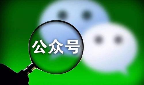 朦胧头条公众号,揭秘网络迷雾中的热点事件