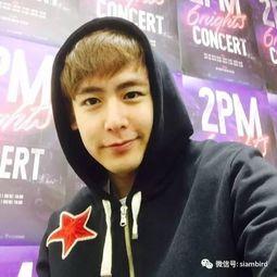 泰国明星对尼坤的评价,魅力与才华并存