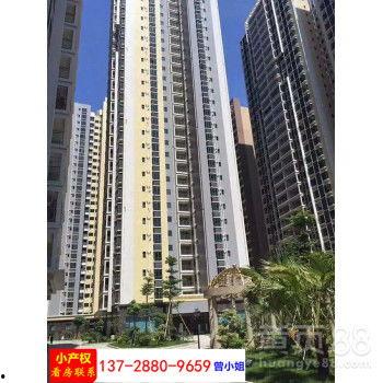 浑南小区新闻头条,紧急救援行动展开