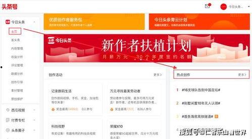 今日头条哪里点关注,轻松一点，关注你所爱