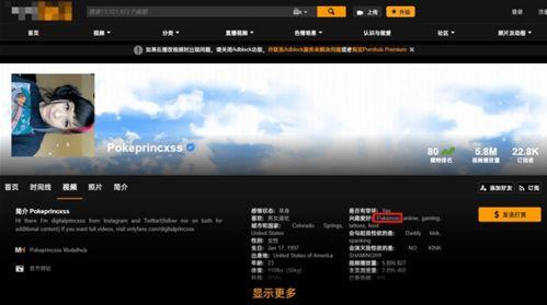 p站有什么网红,揭秘网络艺术界的璀璨星辰