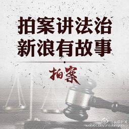 黄陂蔡甸头条新闻,聚焦区域发展新篇章